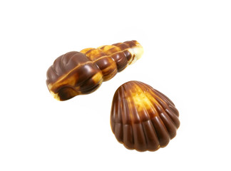 Chocolate seashells