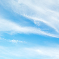 Fototapeta premium blue sky