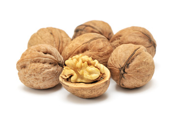 walnut
