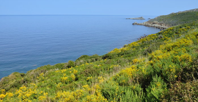littoral algerien au printemps