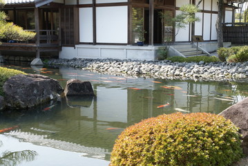 japanese garden