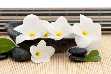 Composition zen avec fleurs de frangipanier