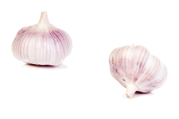 two fresh isolated garlics
