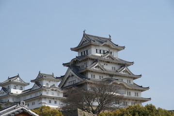 Fototapeta premium Himeji Castle
