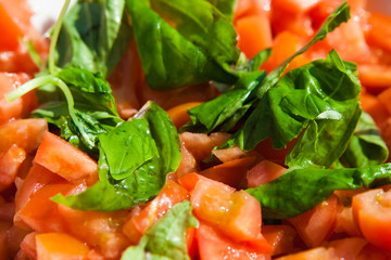 Tomatoes salad