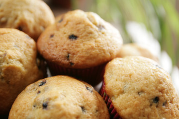 Blueberry muffins