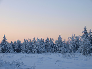 Winter landscape by forest