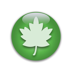 boton de cristal oja