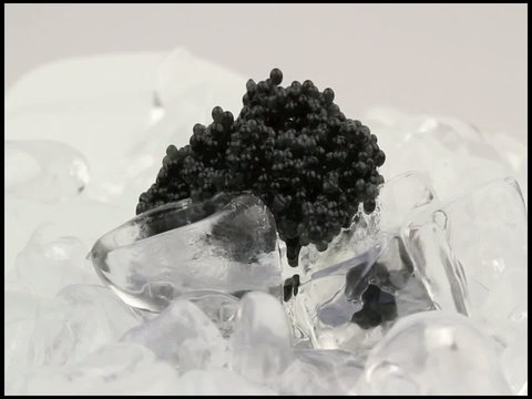 eisgek&uuml;hlter Kaviar