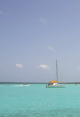 Fototapeta premium catamarana and people swiming