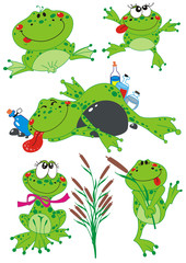 Funny Frogs