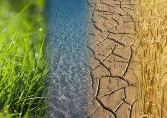 matière naturelle terre échantillon eau terre végétation séchere