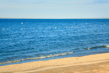 Fototapeta na wymiar Summer sea sandy beach