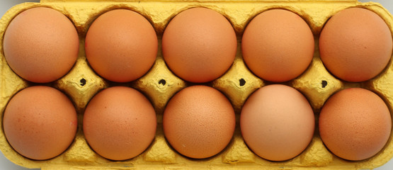 Eier