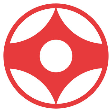 MARTIAL ARTS - KARATE KYOKUSHINKAI KANKU