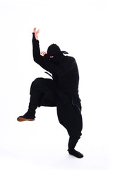 ninja