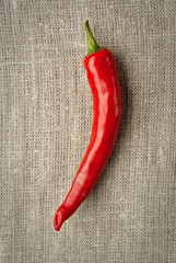 pepper on the canvas background