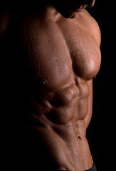 The male body.