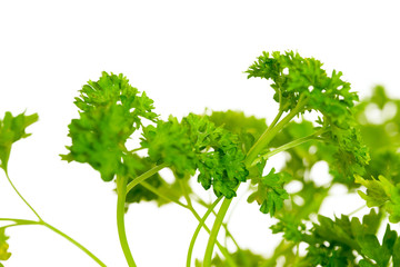 parsley