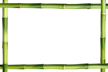 Green bamboo stick frame