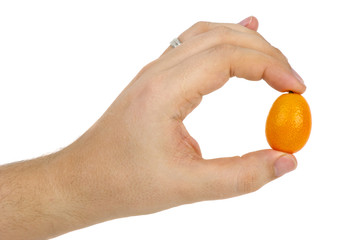 Kumquat fruit in hand