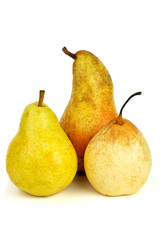 Three pears of different breads