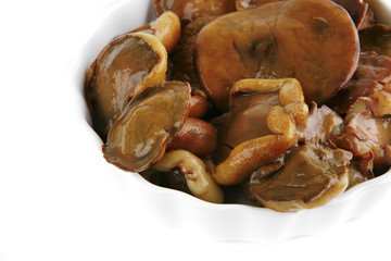 mushrooms on porcelain