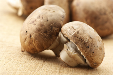 Mushrooms close-up