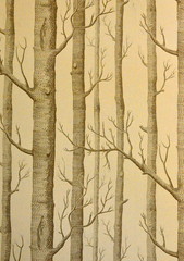 Wald, Bäume, Muster, Dessin, Design, Wandschmuck, Tapetenmuster