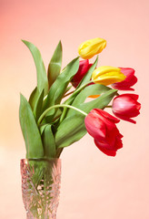 Red and Yellow tulips in the vase