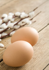 eggs and catkins