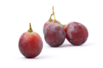 Red Grapes
