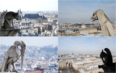 notre dame