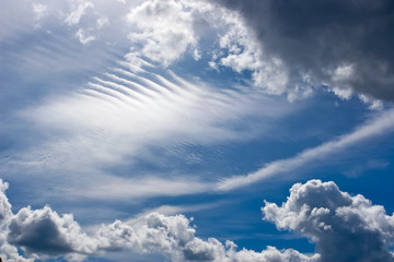 Obraz premium Beautiful sky