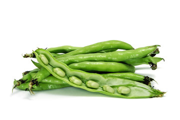 broad bean