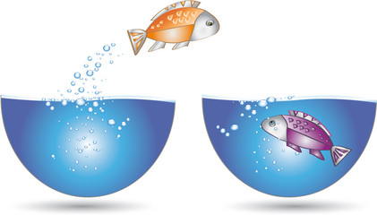 Grafix Fische in Love © Herby Meseritsch