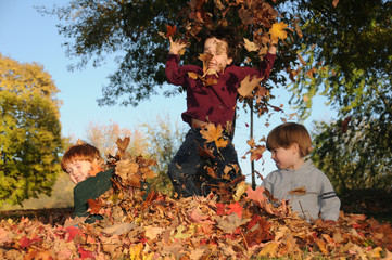 Fall fun