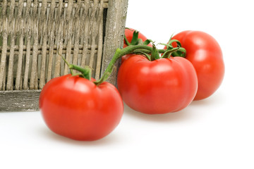 Tomatoes and wicker basket
