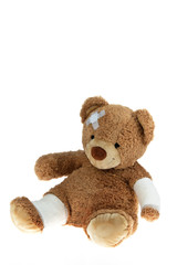 Bear with bandage after an accident