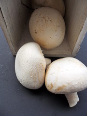 Champignons aus der Kiste
