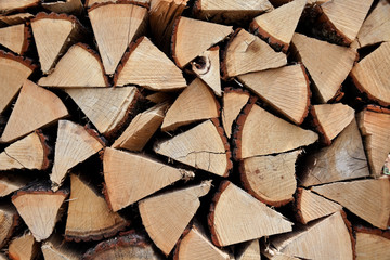 Fototapeta premium Firewood stacked in a pile of wood