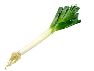 frisch roh Stück Lauch Gemüse freigestellt auf weißem Hintergrund 