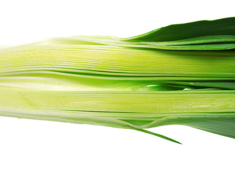 porree zubereiten