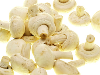 button mushrooms