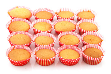Baked many cup cakes