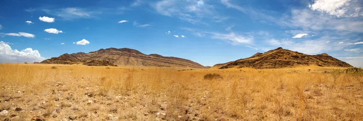 Foto op Plexiglas Brandberg desert in Namibia © piccaya