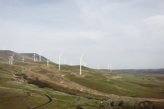 wind farm to harness the wind for renewable energy