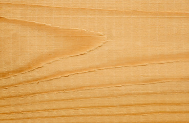 pine wood texture