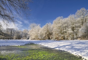 En pleno invierno