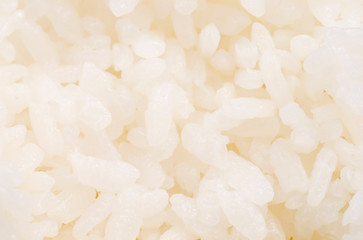 Cooked rice as background